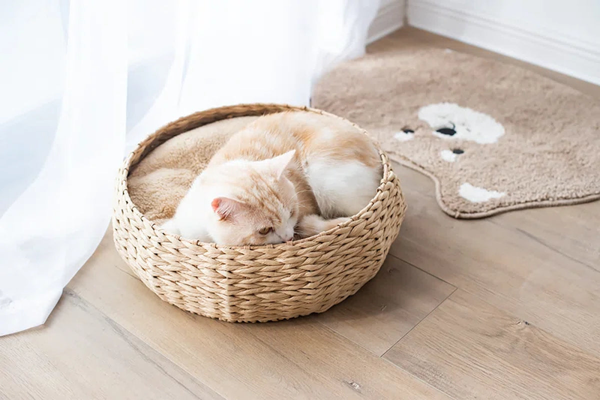 Handwoven Pet Bed