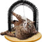 Interactive Cat Toys,Cat Arch Self Groomer Cat Brush,Cat Scratcher Toys,Cat Brush for Grooming with Cat Scratch Pad and Catnip,Cat Brush for Shedding,Cat Scratching Post